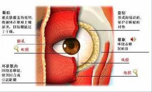 中心性滲出性脈絡膜視網膜炎