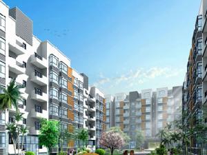 峨眉印象 峨眉印象