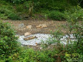 黃泥洞國有林場 黃泥洞國有林場