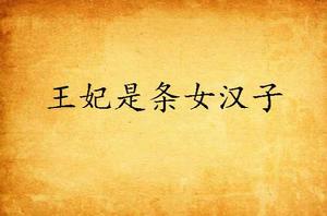 王妃是條女漢子 王妃是條女漢子