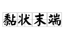 黏狀末端 黏狀末端