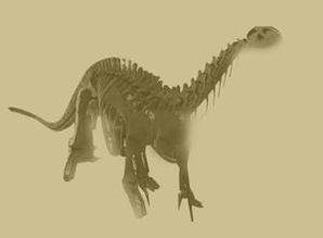 川東虛骨龍 川東虛骨龍