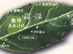 佳華森林驛站 佳華森林驛站