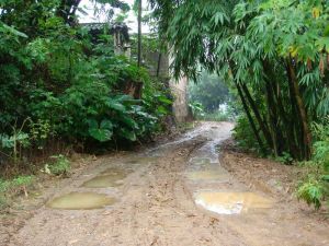 沅水自然村 沅水自然村
