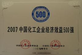 山東海化集團有限公司 山東海化集團有限公司