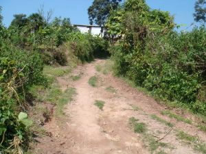 下宣德自然村 下宣德自然村