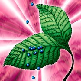 哥布林的秘藥 哥布林的秘藥