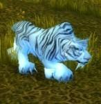 邦加拉什 邦加拉什