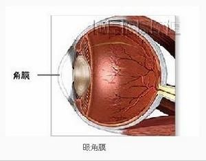 葡萄膜眼病 葡萄膜眼病