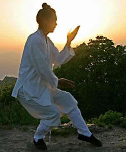 武當太極拳 武當太極拳