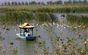 東溝濕地狩獵場