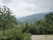 共和村、大房子