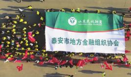 泰安市地方金融組織協會 泰安市地方金融組織協會