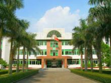 向西村[廣東省東莞市石排鎮向西村]