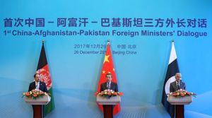 中阿巴三方外長對話 中阿巴三方外長對話