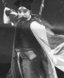 《女俠紅蝴蝶》 《女俠紅蝴蝶》