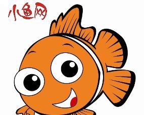 小魚網 小魚網