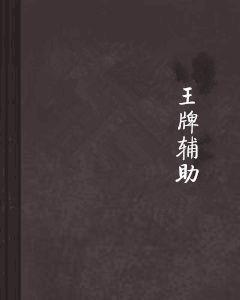 王牌輔助 王牌輔助