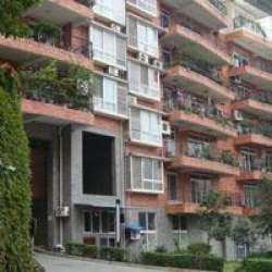 上清寺路75-80號