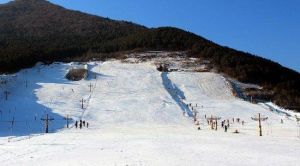 興隆山滑雪場 興隆山滑雪場