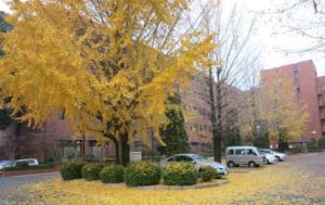 熊本學園大學 熊本學園大學