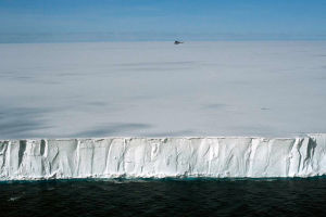 羅斯陸緣冰 羅斯陸緣冰