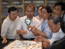 2010年：重慶三峽博物館鑑定甲骨文