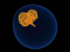 Ia型超新星的三維模擬圖