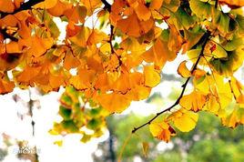 湘潭大學化學學院 湘潭大學化學學院