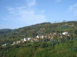 木渣箐村 木渣箐村