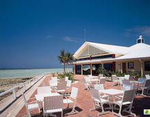 休閒[身心的調節與放鬆方式]