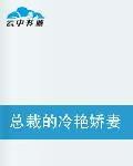 總裁的冷艷嬌妻 總裁的冷艷嬌妻