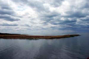 查乾湖國家級自然保護區