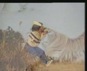 魏堅毅[武術家]