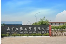 山東力揚工貿有限公司