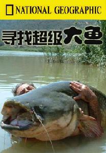 超級大魚