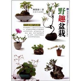 野趣盆栽 野趣盆栽