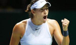 伊莉娜·斯維托麗娜