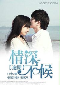 情深不候 情深不候