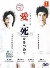 凝視愛與死 凝視愛與死