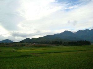 三聯自然村 三聯自然村