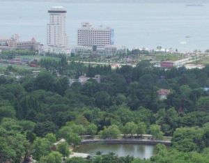 森林樂園 森林樂園