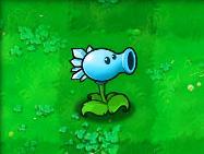 《植物大戰殭屍》[PopCap Games開發的遊戲]