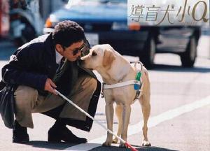 《導盲犬小Q》