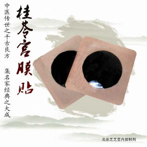 北京芝芝堂桂苓宮膜貼