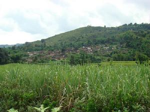 芒品自然村 芒品自然村