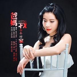 爸媽我今年回家 爸媽我今年回家