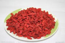 枸杞子[枸杞子]