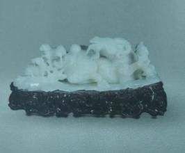 尖頭舟形藻 尖頭舟形藻