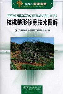 核桃整形修剪技術圖解 核桃整形修剪技術圖解